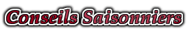 Conseils